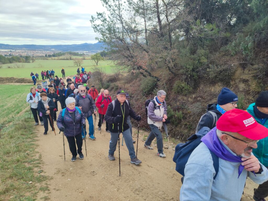 Collbas 3 