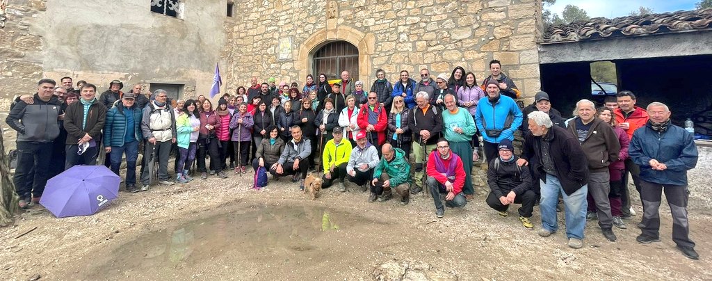 Collbas 6 