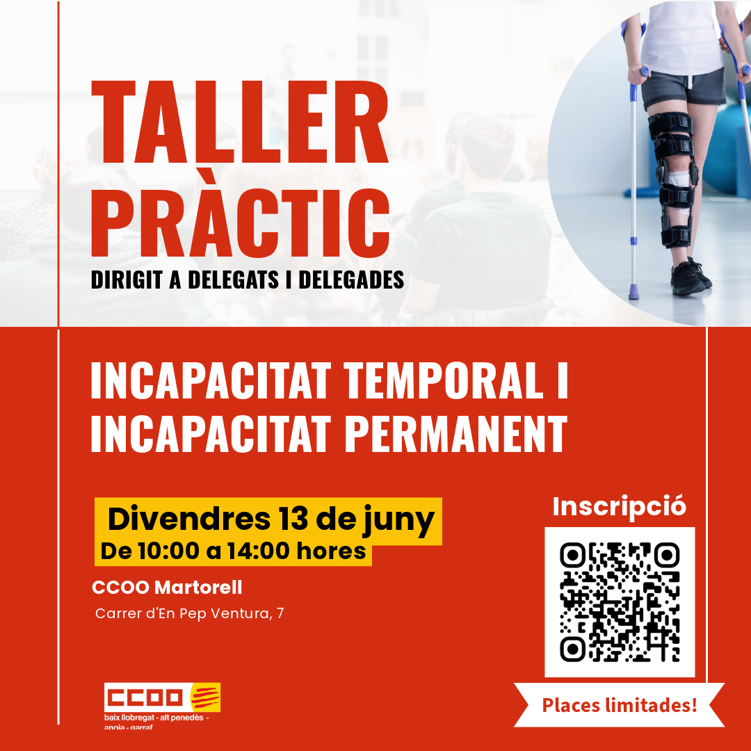 Ig Tallerincapacidad Martorell