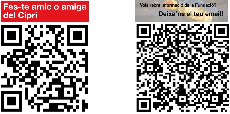 Qr Amigos Info 2