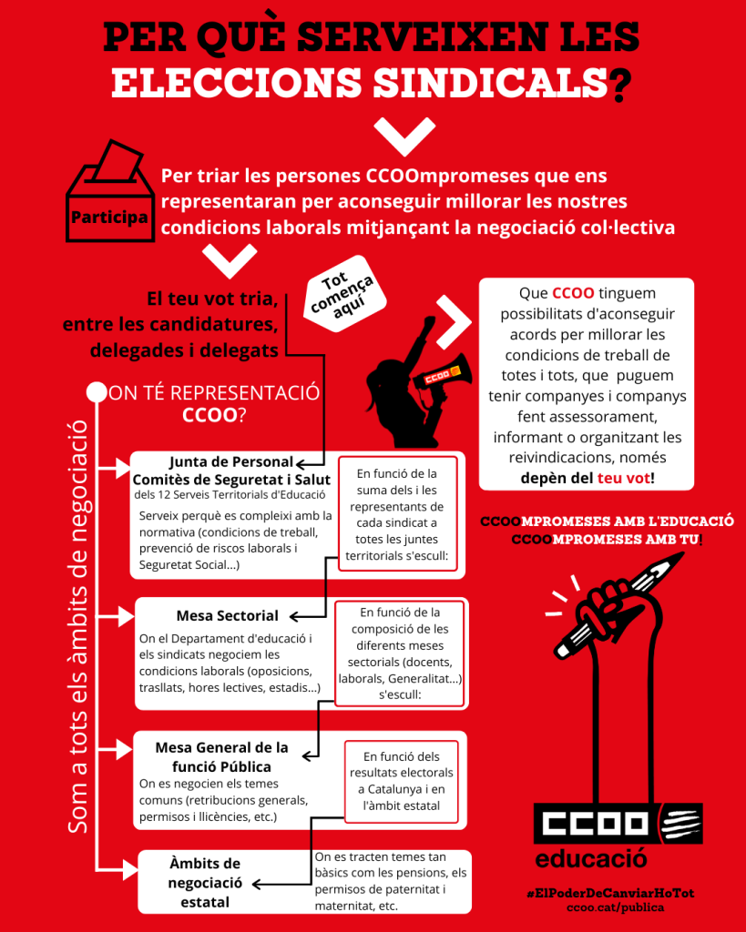 Infografies Eess Publicacio Dinstagram Vertical