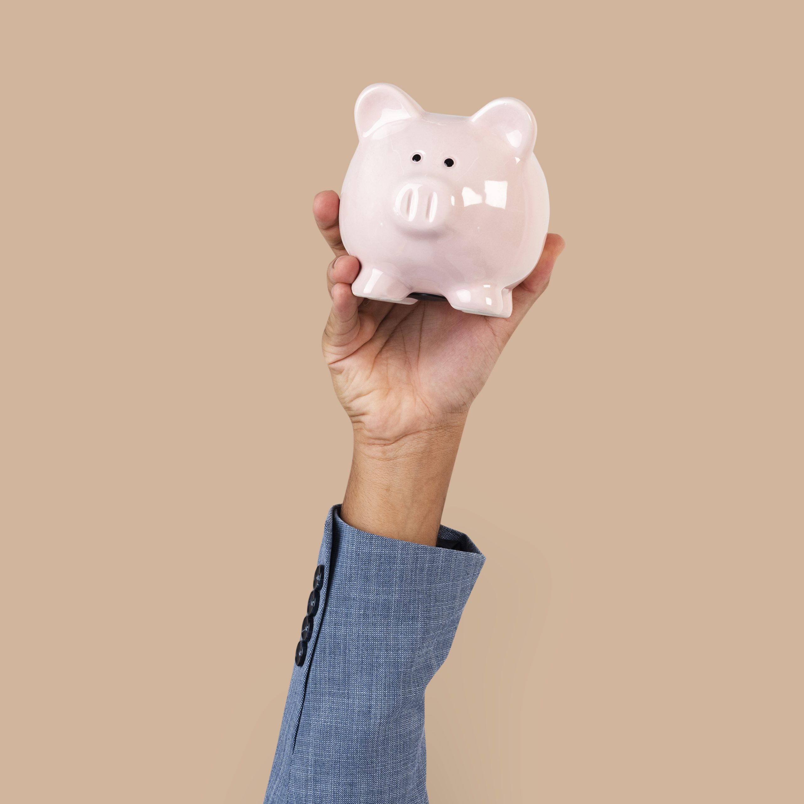 Hand Holding Piggy Bank In Finance Concept