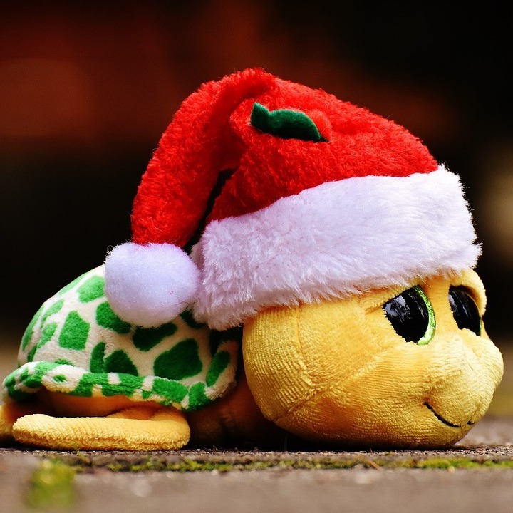 Christmas 1909840 1280 (1)