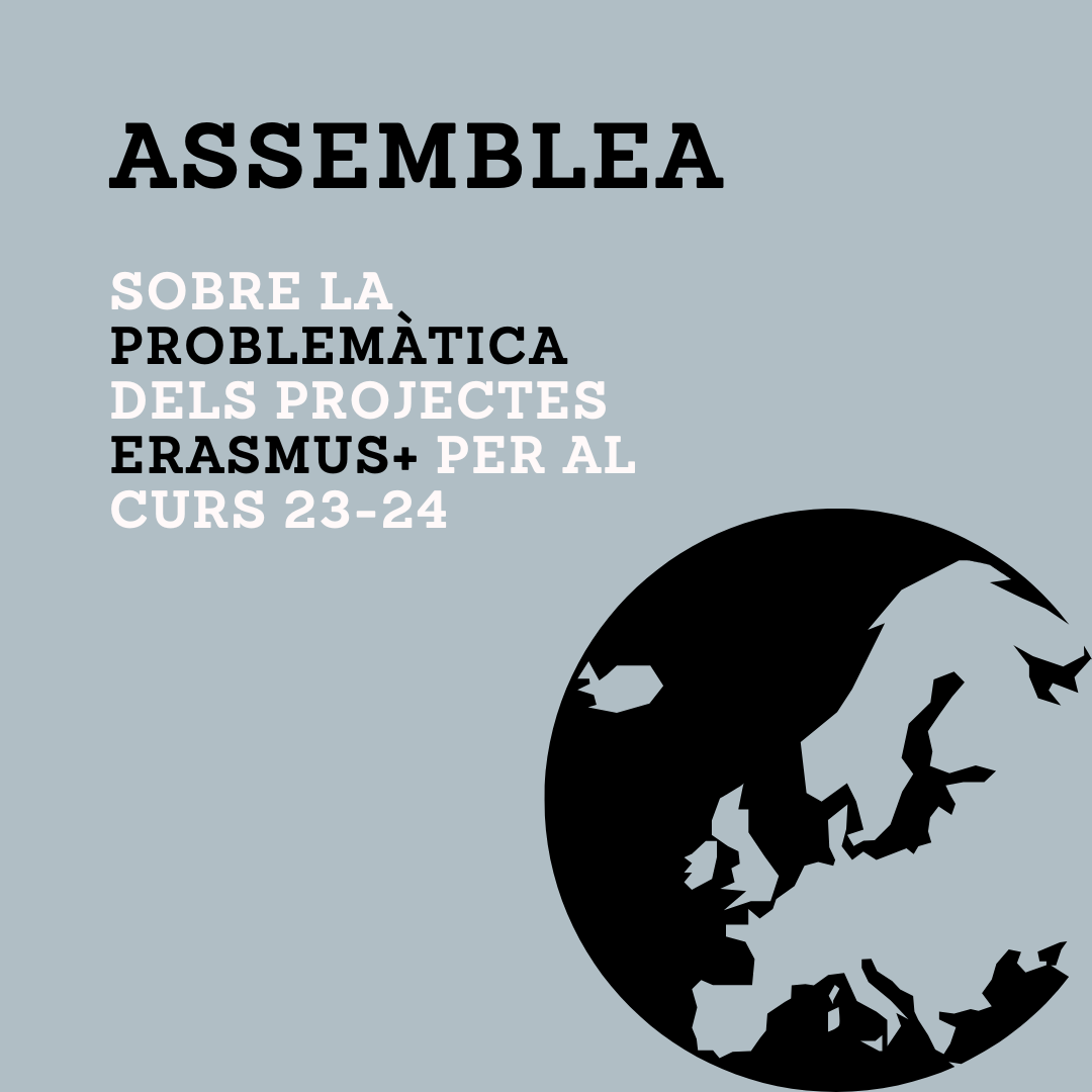 Cartells Assemblees Din A4 (publicació D'instagram)(4)