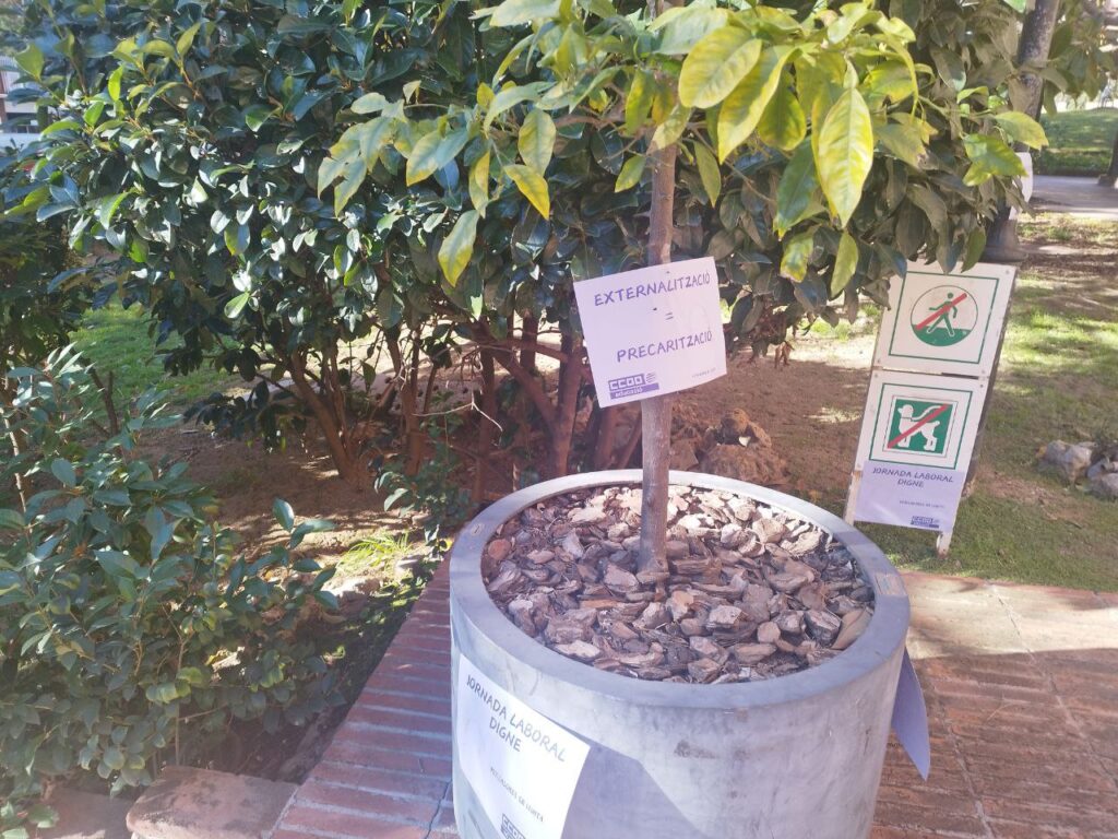 Photo 2024 12 23 11 39 41