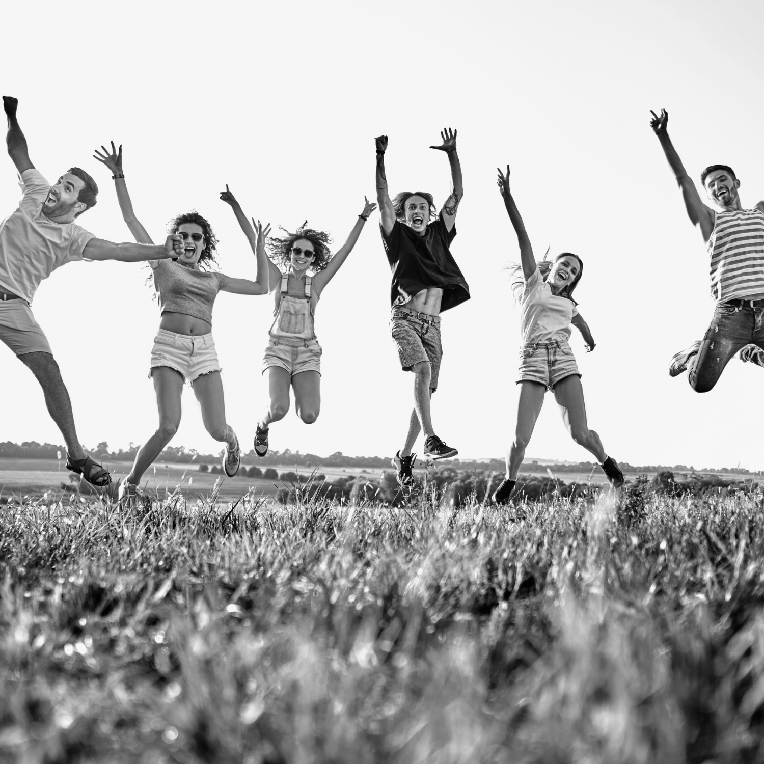 Nou Disseny Postals(56)