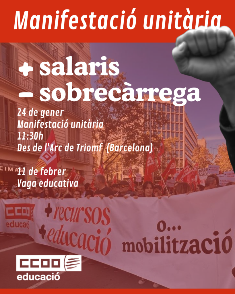 Còpia De Manifestació 15n (publicació D'instagram (45)) (2)