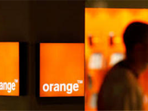 Orange .jpg