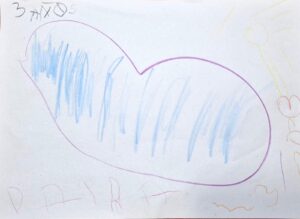 Daira 3 Años