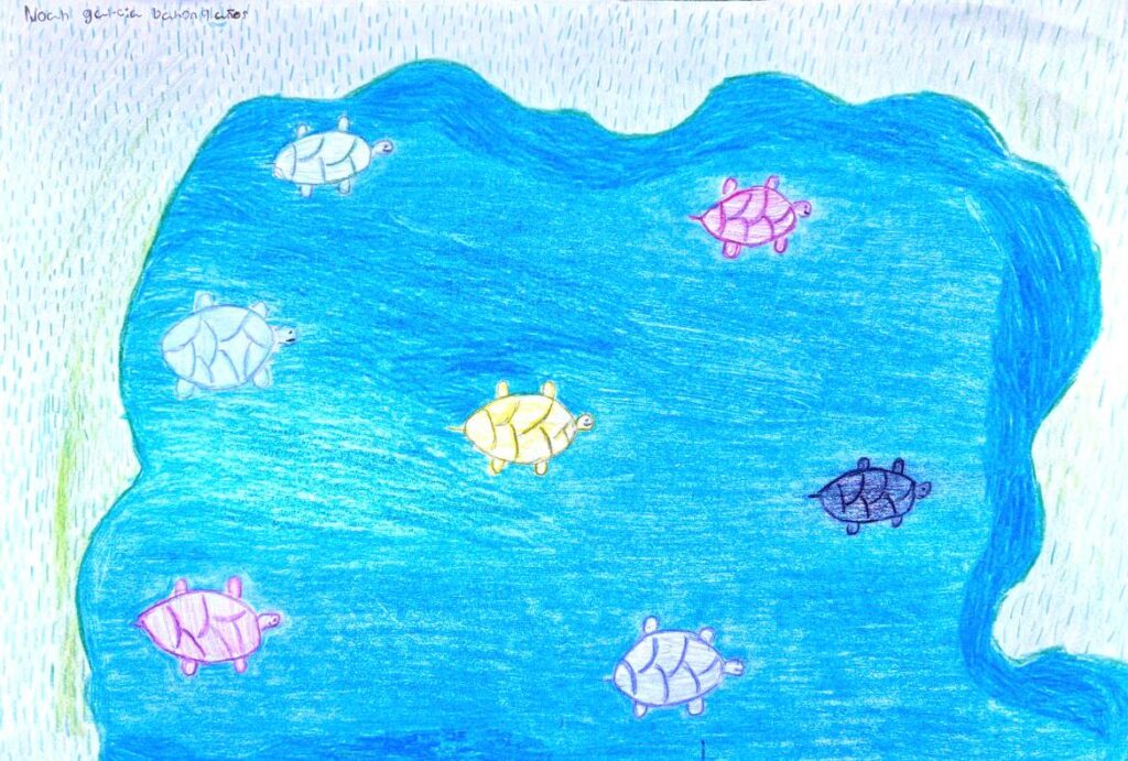 Noah García 9 Años