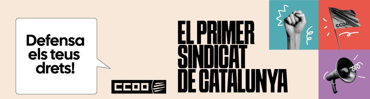 Cabcera Web 2