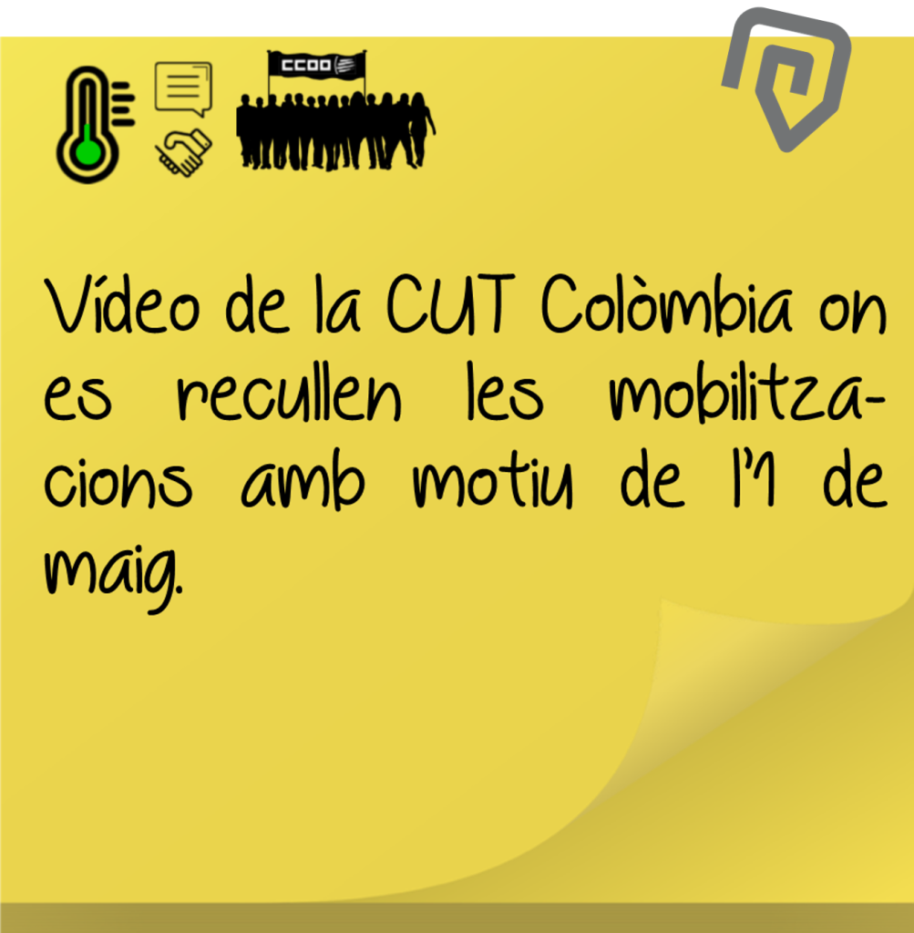 6 Cut 1maig
