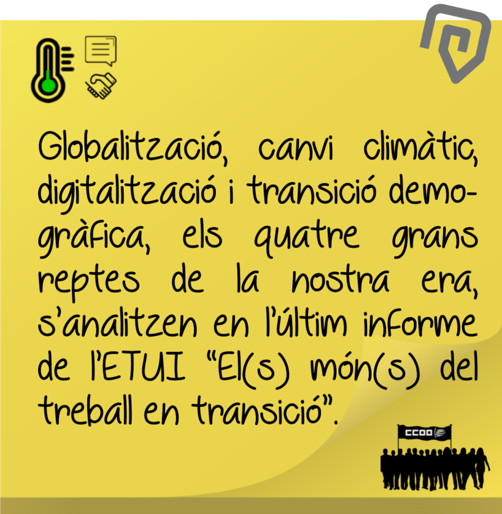 Notícia 7