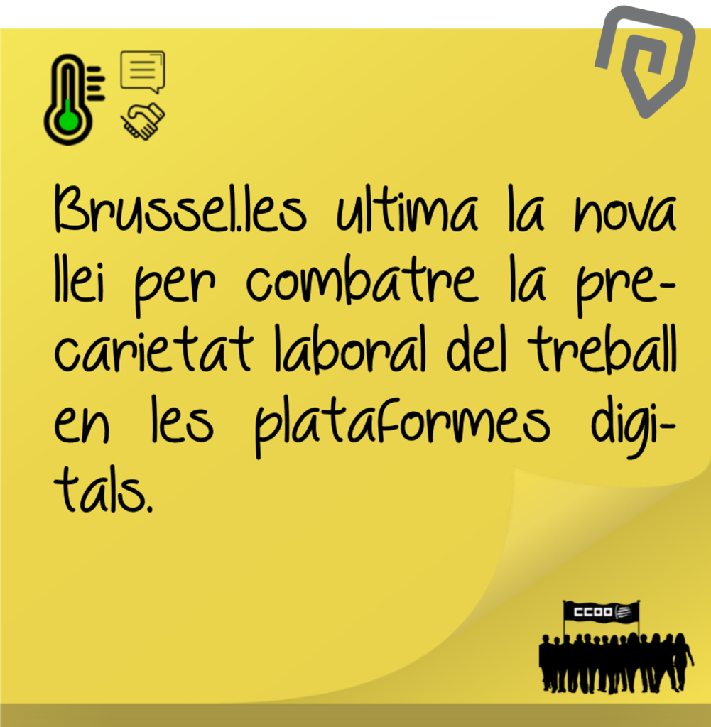 Notícia 8