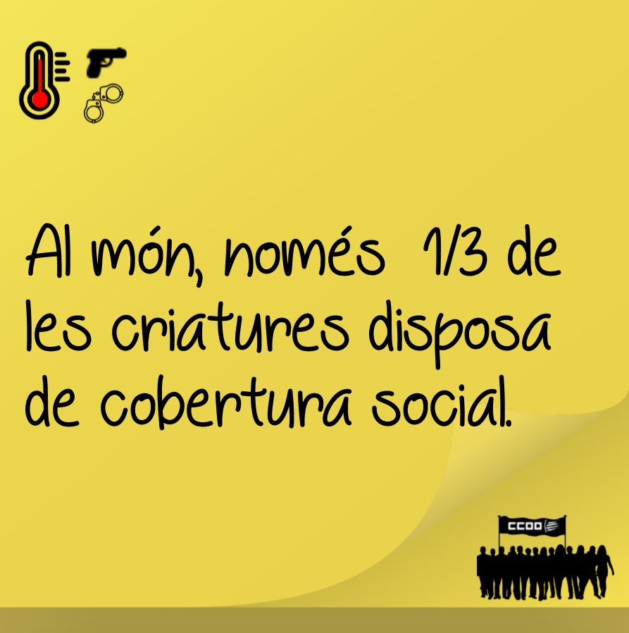 Notícia 3