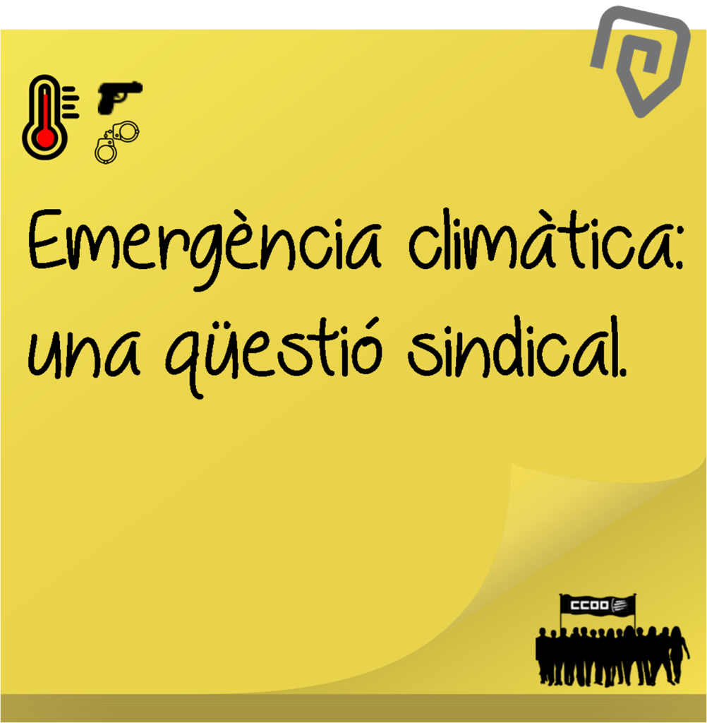 NotÍcia 3