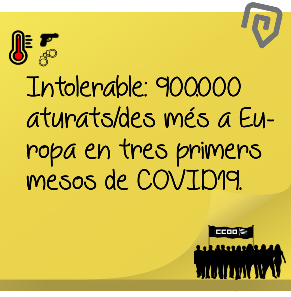 Notícia 5