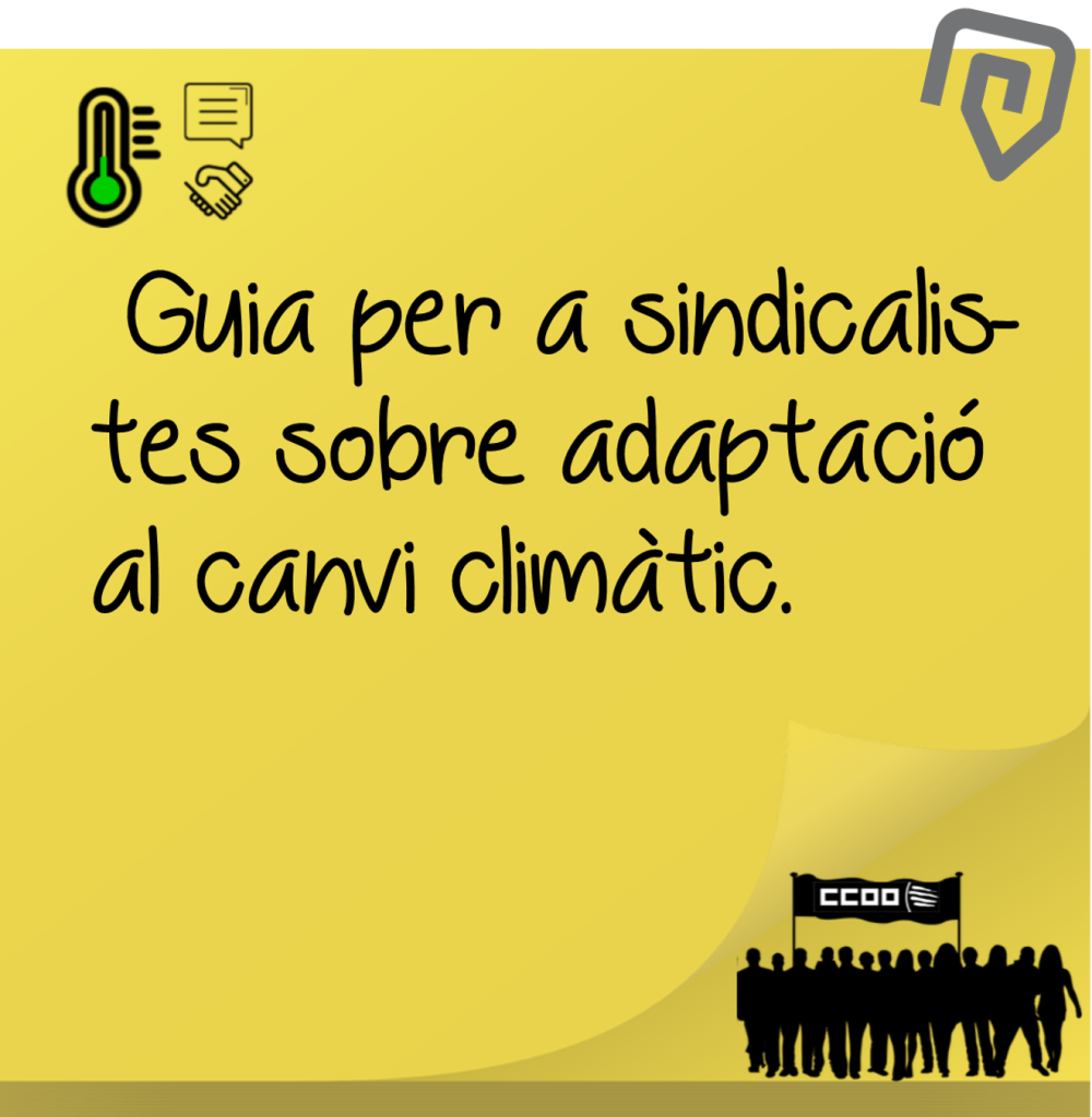 NotÍcia 6