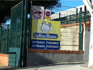 Gallina Blanca Sjd .jpg