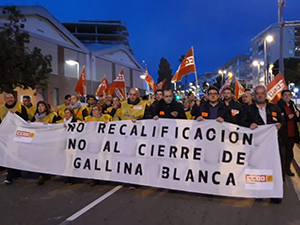Gallinablanca31gen2019 .jpg