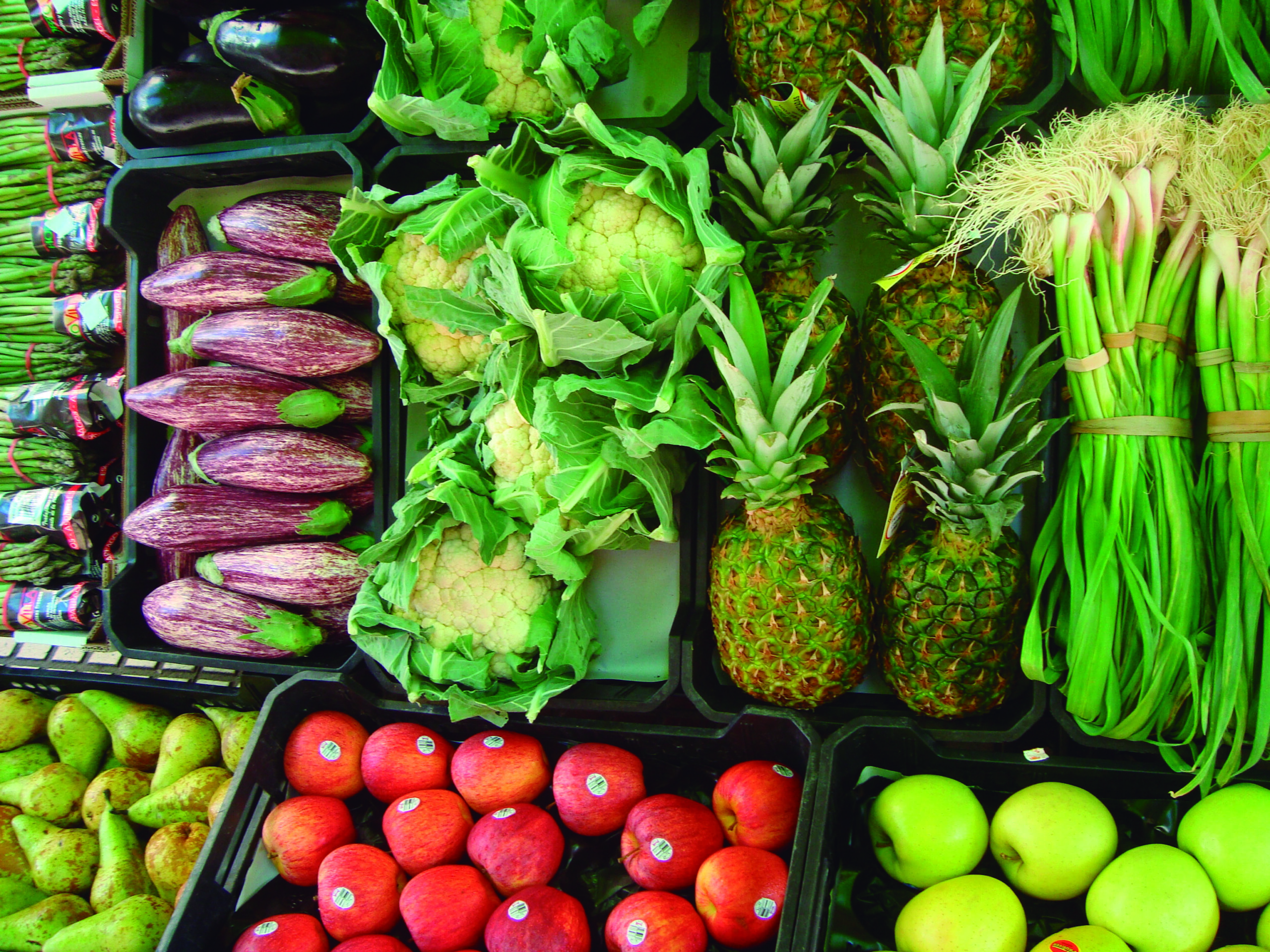 Majoristes Fruites Verdures 02