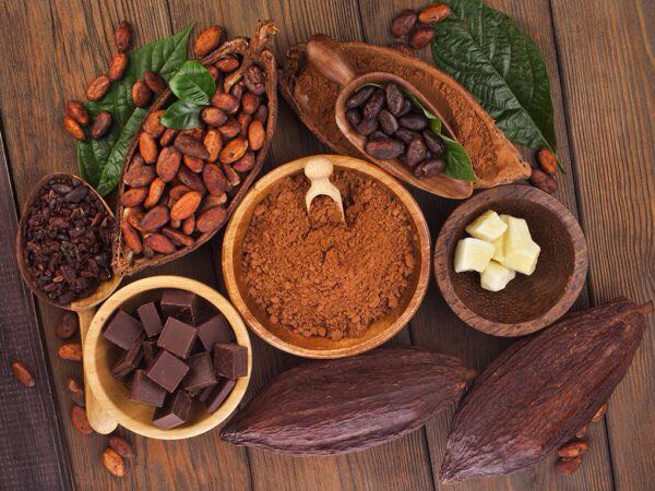 Xocolates