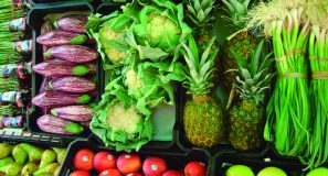 Majoristes Fruites Verdures 02