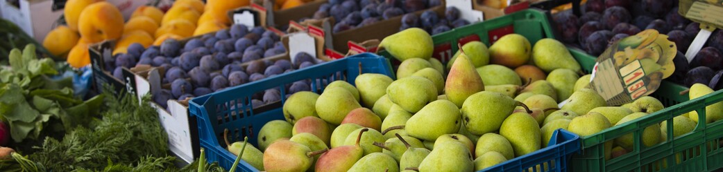 Conveni Majoristes Fruites Verdures Barcelona