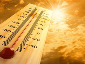 Arriba Calor .jpg