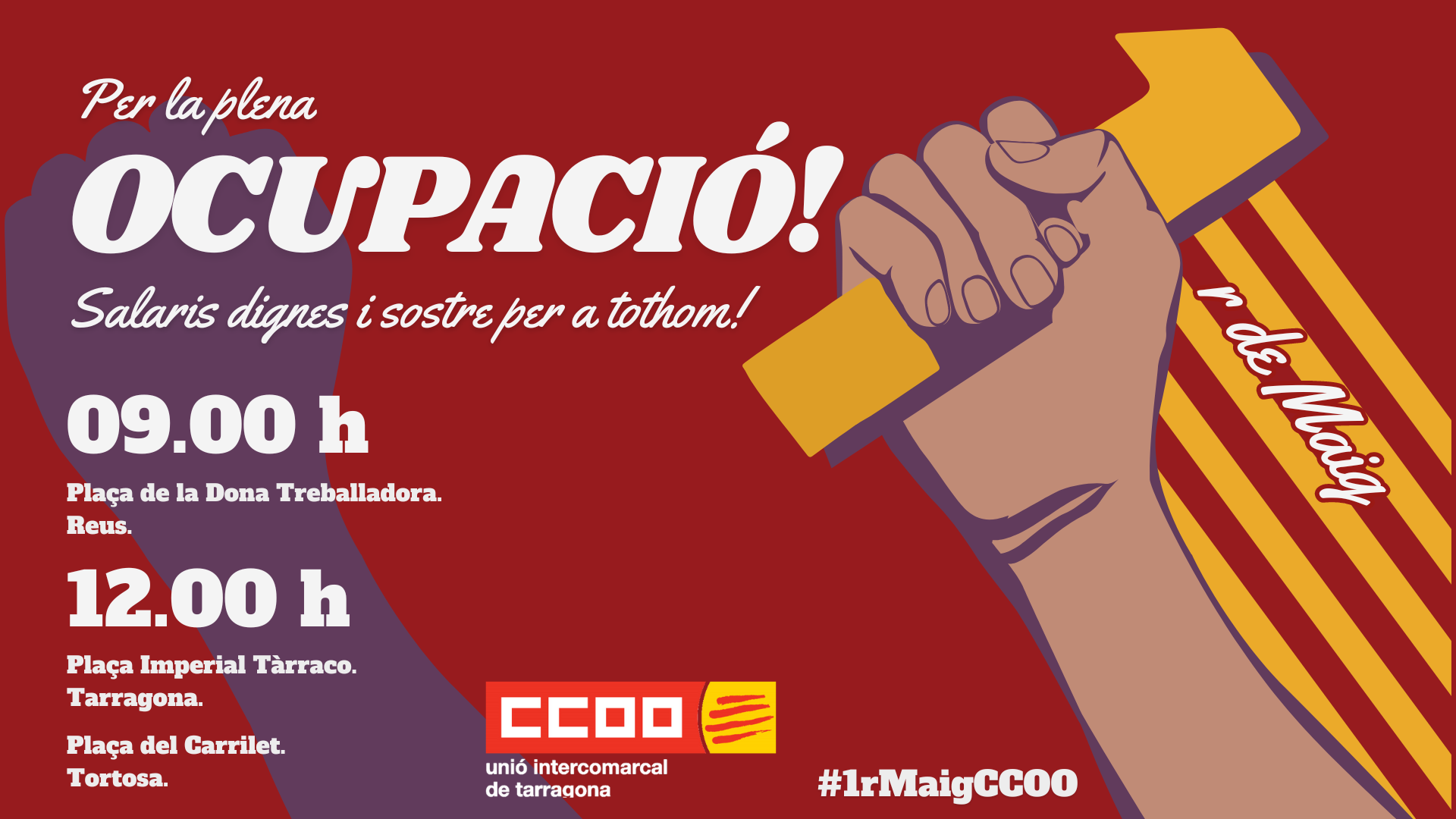 Copia De Editable 169 Cci
