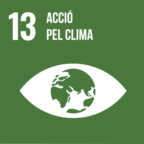 ODS 13. Adoptar mesures urgents per combatre el canvi climàtic i els seus efectes.