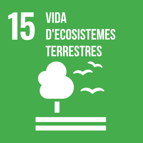 ODS 15. Protegir, restaurar i promoure l'ús sostenible dels ecosistemes terrestres; gestionar els boscos de manera sostenible; combatre la desertificació, aturar i revertir la degradació del sòl, i aturar la pèrdua de la diversitat.