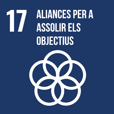 ODS 17. Enfortir els mitjans per implementar i revitalitzar l'Aliança Mundial per al Desenvolupament Sostenible.