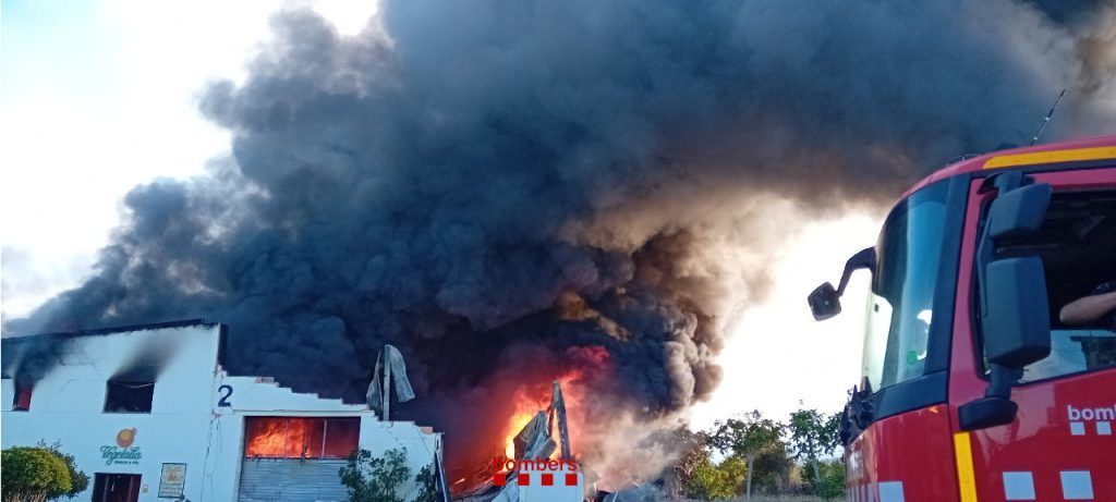 Incendi Vegetalia.jpeg