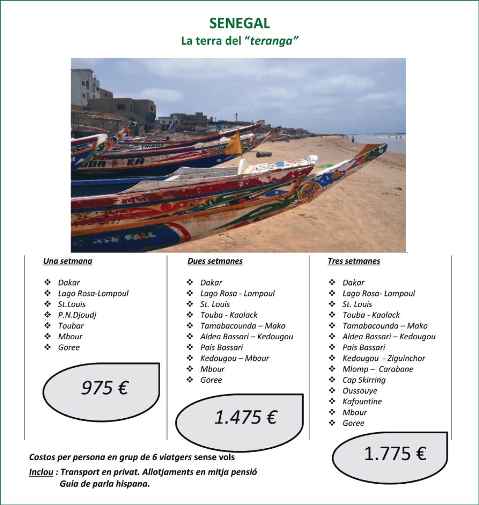 Senegal Cat Page 0001