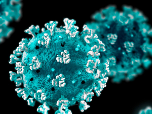 coronavirus blau negre