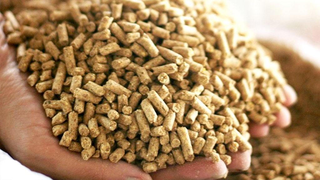 Pinsos compostos per a animals