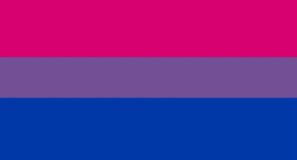 Bandera de l'orgull bisexual