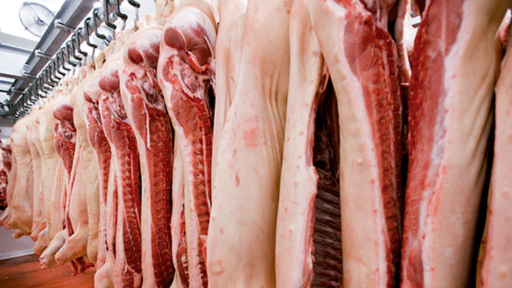 Escorxadors Carn