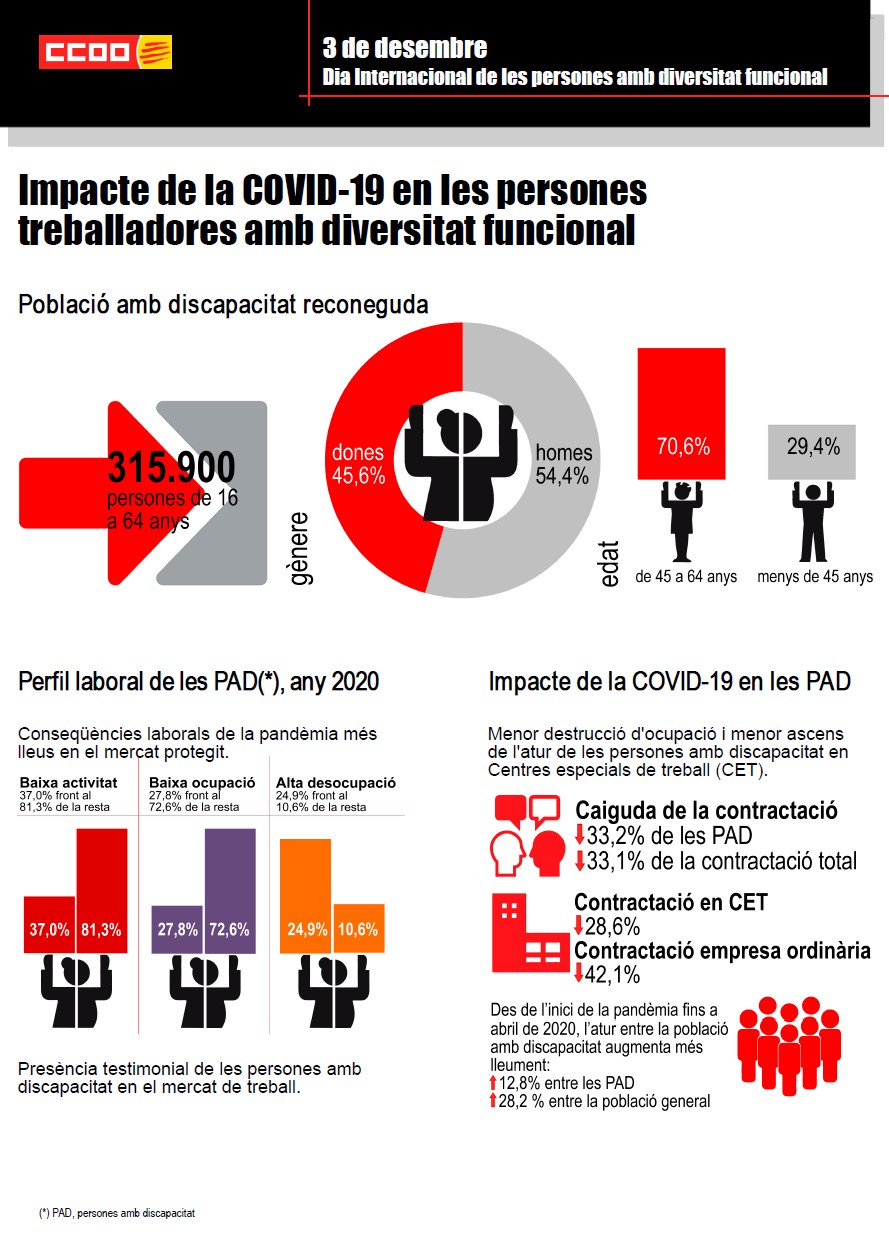 Infografia Persones Diversitat Funcional 2021 1