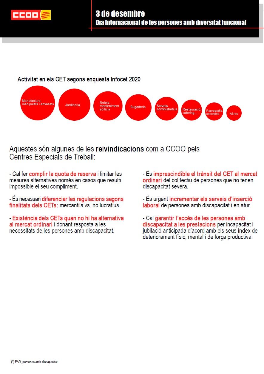 Infografia Persones Diversitat Funcional 2021 2