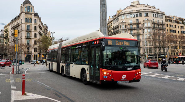Pt Bàsica Nova Xarxa Bus Capçalera