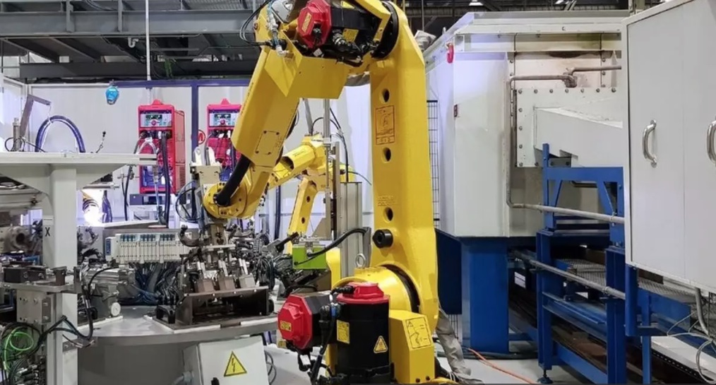 Automocio Cotxes Planta