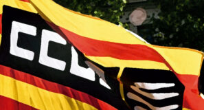 Senyera Ccoo Catalunya Editada