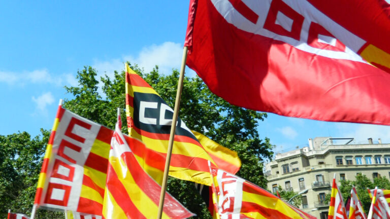 Banderes Diverses Ccoo Catalunya Cel Blau
