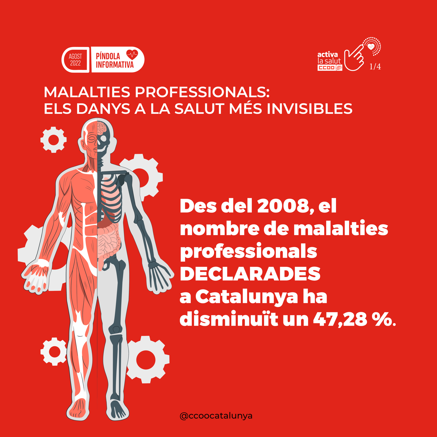 Infografia Malalties Professionals Targeta1