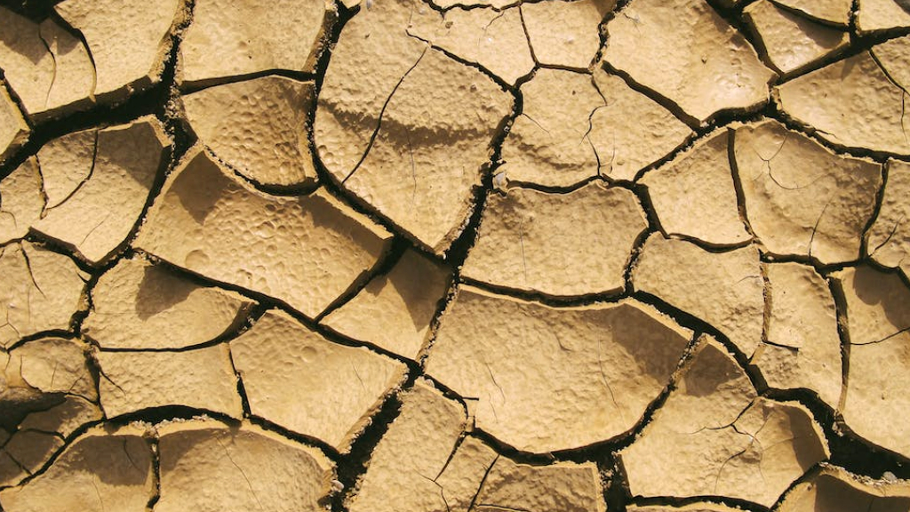 Sequía Tierra Agritado