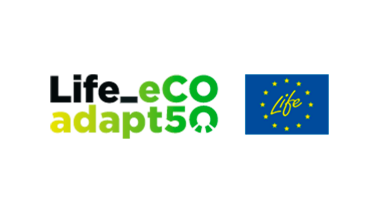 Logo Eco Adaptat