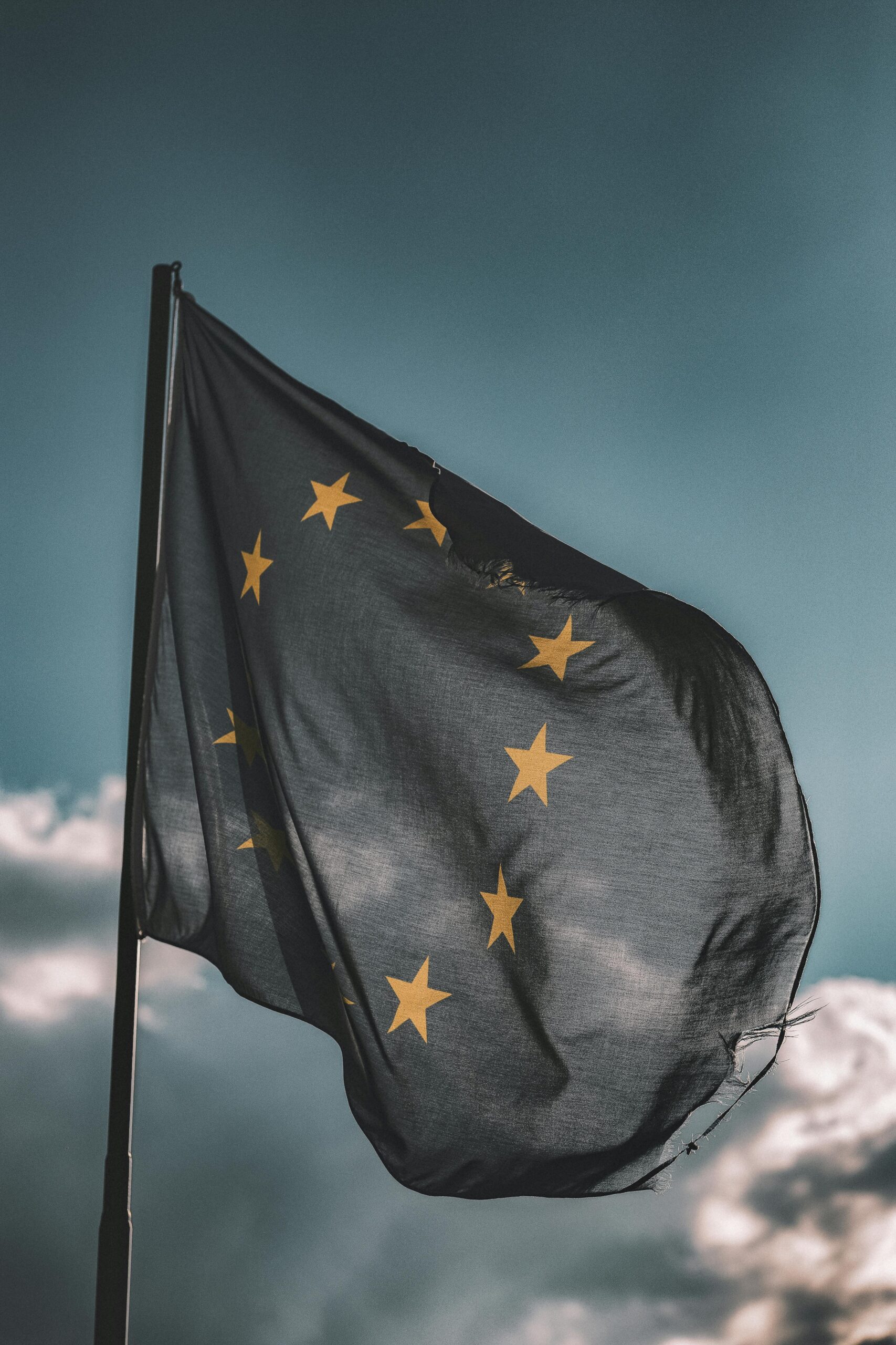 Pexels Eberhardgross 1743364