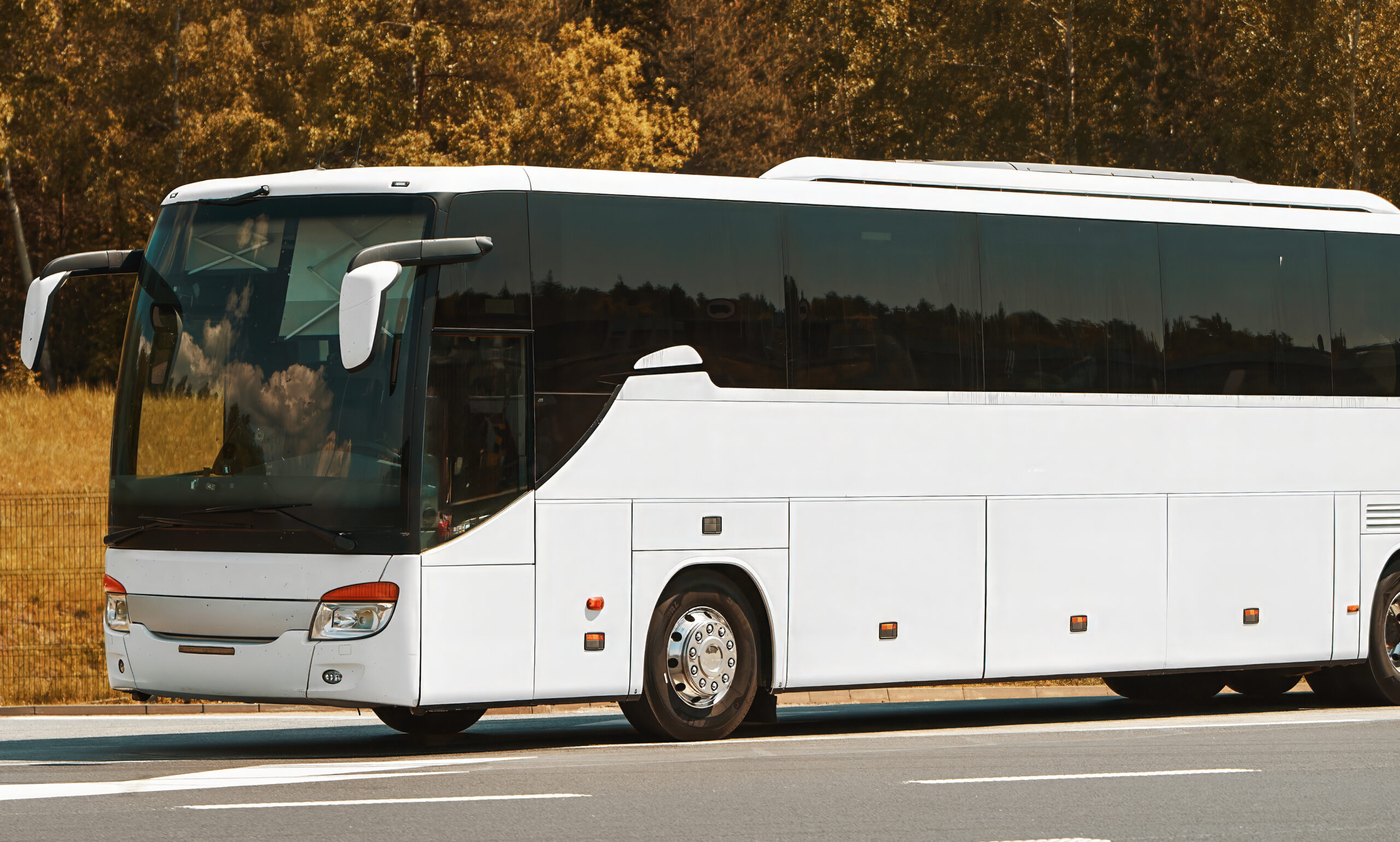 Modern White Bus Parked Near Trees